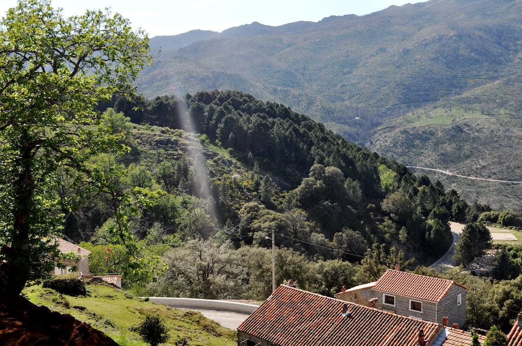 Chambres D'Hotes Villa Cardellini Aullene Exterior photo